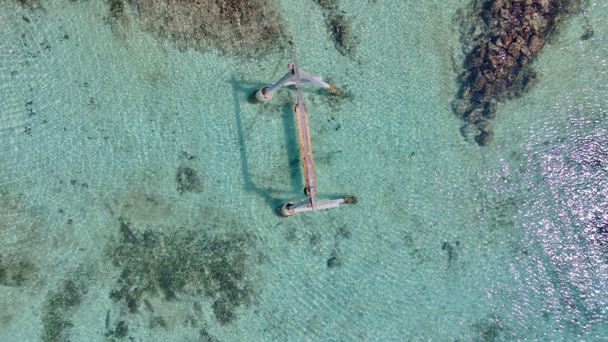 Medusa Hostel Isla Tintipan Tintipan Island 外观 照片