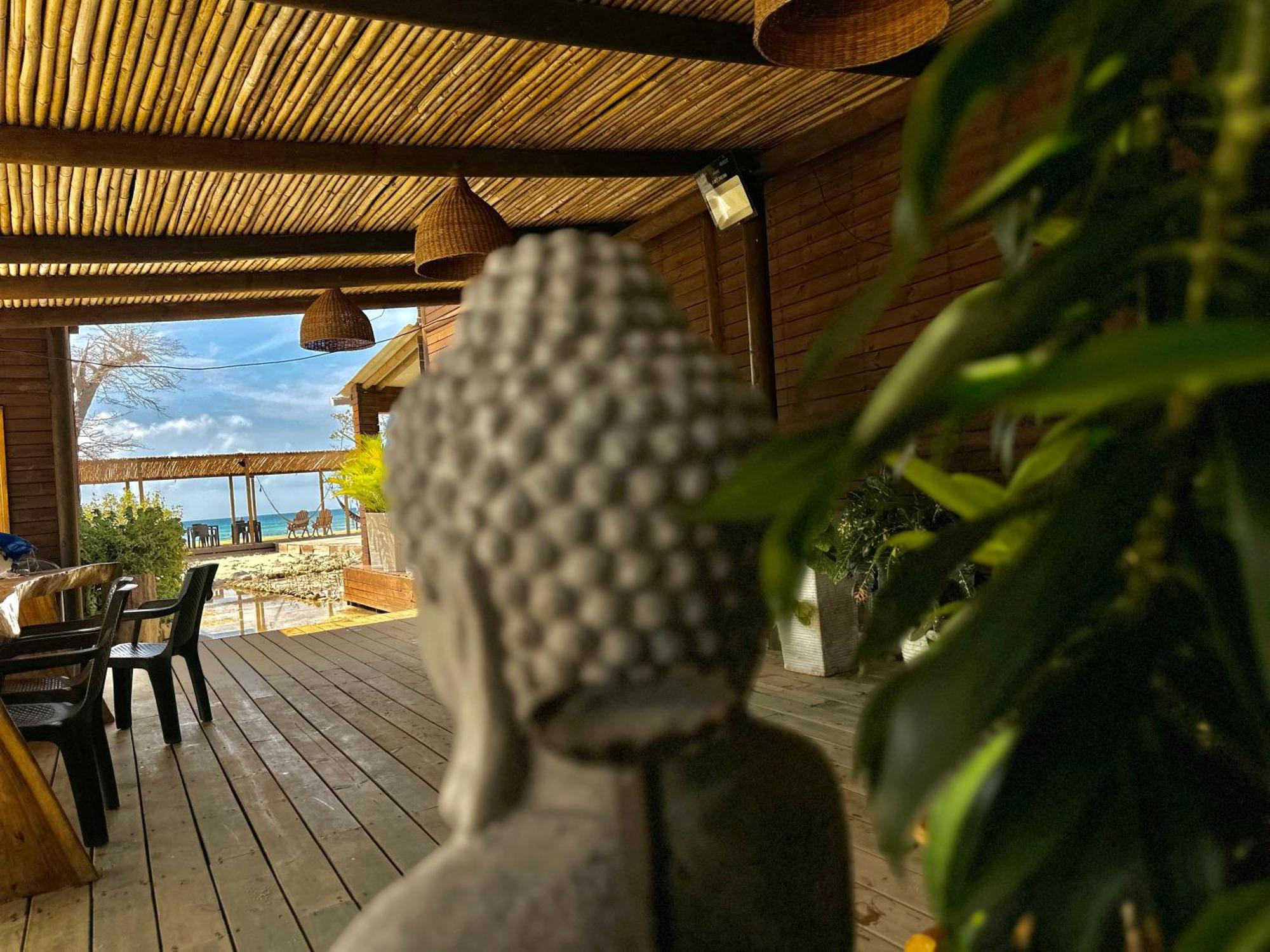 Medusa Hostel Isla Tintipan Tintipan Island 外观 照片